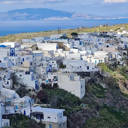 ザチャロ ルームス ティラシア